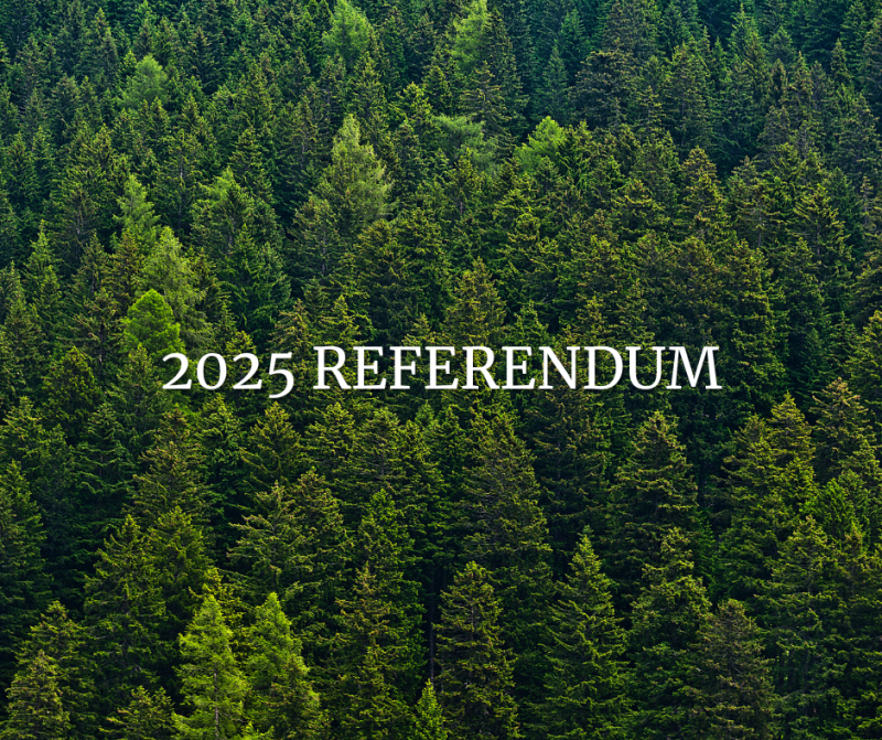 2025 Referendum